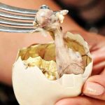 Makan Balut, Apakah Muslim Boleh Memakannya? Begini Hukumnya Menurut Ulama