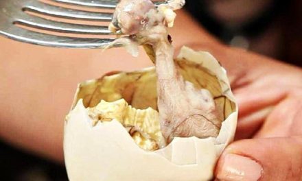 Makan Balut, Apakah Muslim Boleh Memakannya? Begini Hukumnya Menurut Ulama