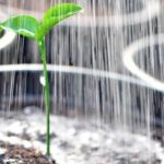 Cara Menghapus Sihir Dari Rumah Dengan Mudah Dan Aman