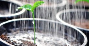 Cara Menghapus Sihir Dari Rumah Dengan Mudah Dan Aman