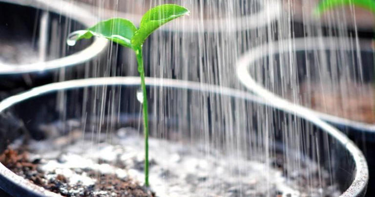 Cara Menghapus Sihir Dari Rumah Dengan Mudah Dan Aman