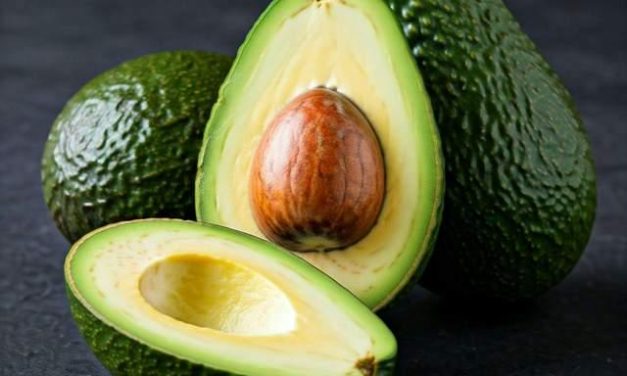 Alpukat Untuk Gula Darah: Mitos Atau Fakta? Ini Penjelasan