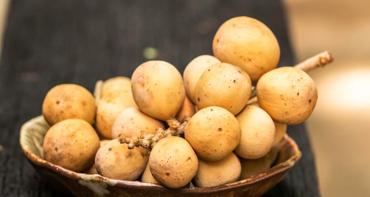 Buah Duku Superfood Lokal, Manfaatnya Tak Banyak Orang Tahu