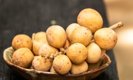Buah Duku Superfood Lokal, Manfaatnya Tak Banyak Orang Tahu