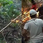 Gunung Ciremai Terbakar! KDM Ajak Warga Bantu Pemadaman