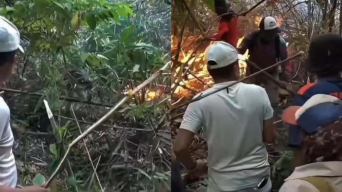 Gunung Ciremai Terbakar! KDM Ajak Warga Bantu Pemadaman